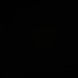 David Lee supercross 