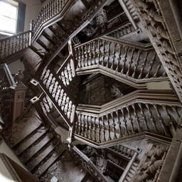 Assertive Male Voice