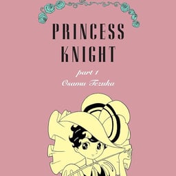 Narrator princess knight
