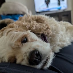 Engaging Female Voice