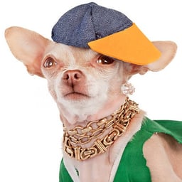 Energetic Rapper Voice