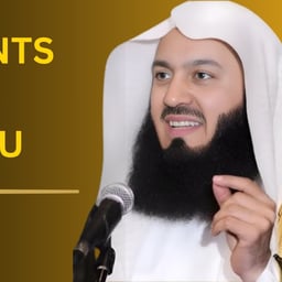 mufti menk