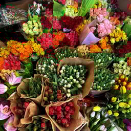 柔和普通话女声