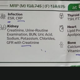 Friendly Confident Voice