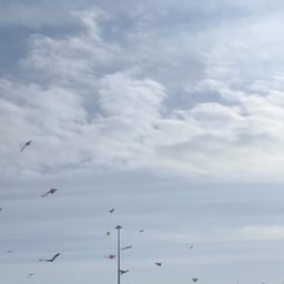 Спокойный Мужской Голос