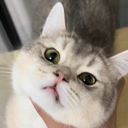 云中烟雨