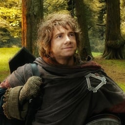 Bilbo baggins