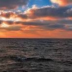 صوت عربي حيوي