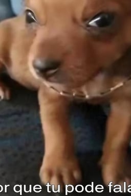 Voz Jovem Expressiva