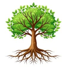 Clear Science Narrator