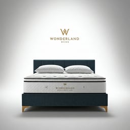 صوت امراء ليبيا