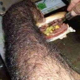 Voz Feminina Vibrante