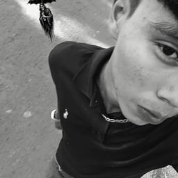 Voz Amigable Española