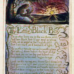 Молодая Женщина