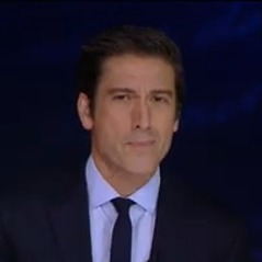 Reporter ABC News - M