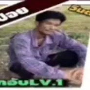 มิสเตอร์บิด