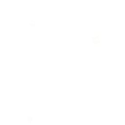 homem-40anos-neutro sem sotaque 