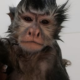 Víctor Manuel Garcia Camacho Amigable