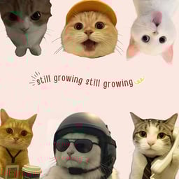 Penyiar Promo Enerjik