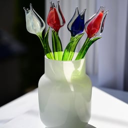 Clear Professional Male