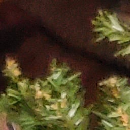 Dynamic Urban Storyteller