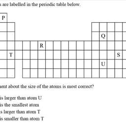 Confident Business Professional