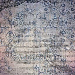 응아니야내개인용