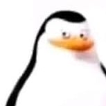 This voice Is only for a meme, ignore this 