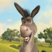 Burro Shrek AHR