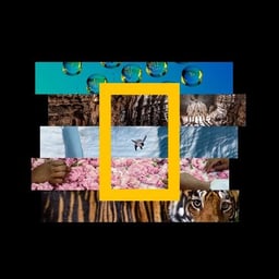 National Geographic Asia Announcers