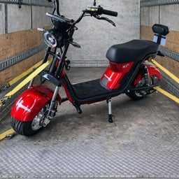 Homem Português Claro