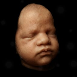 Manhã de Nutricionista