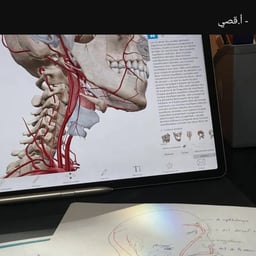حفيظ دراجي بتمني انساك