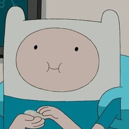 Finn the human 