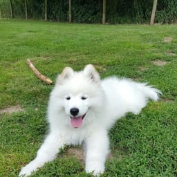 Clear Confident Female