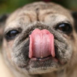 丁寧な解説男性