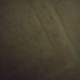 No Bone Unturned -- Gravelly Storyteller