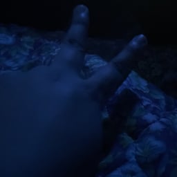 Seasoned Storyteller