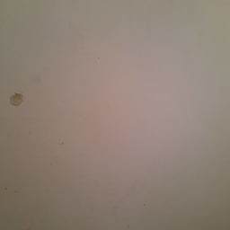 المذيعة العربية الواثقة