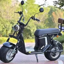 Voz Clara e Profissional