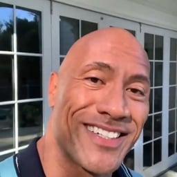 The rock 