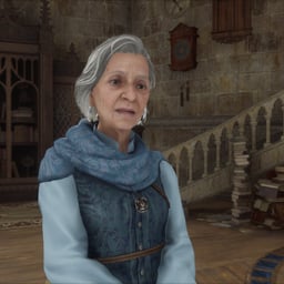 HOGWARTS HECAT HOGWARTS