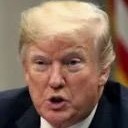 Donald Trump avatar