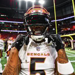 Professional Athlete