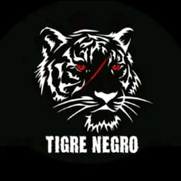 Tigre negro 