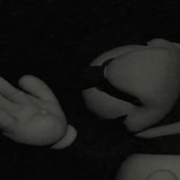 Mysterious Whispering Voice