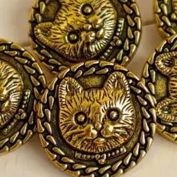 Clear Explainer Voice