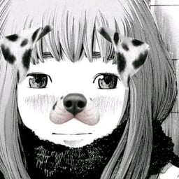 Misericordia 🗣️