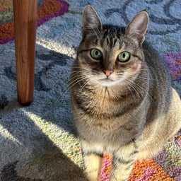 Taylor Swift Singing