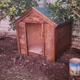 عبد الحي جوبان